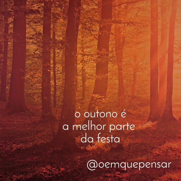 IMG_20150531_182204.jpg image