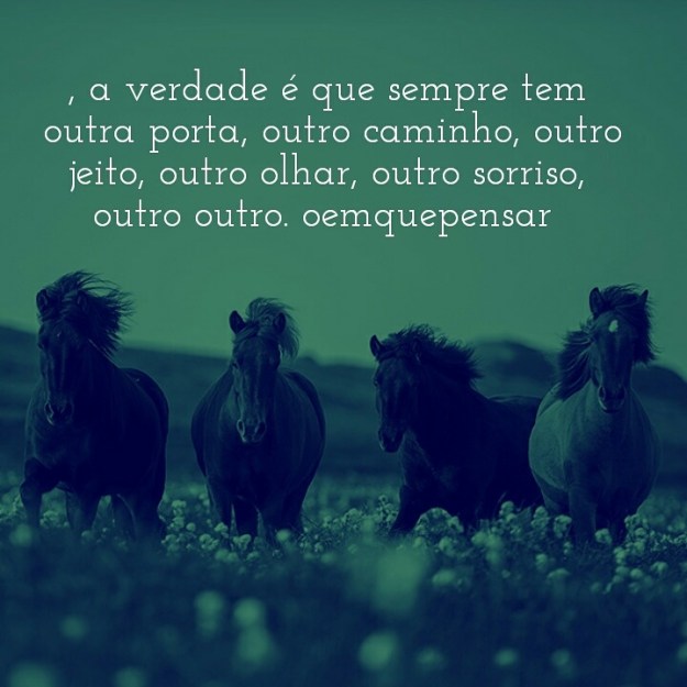 IMG_20160319_161017.jpg image