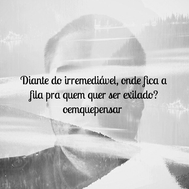 IMG_20160512_110235.jpg image